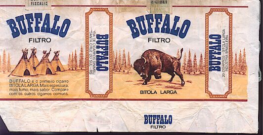 Buffalo 12.jpg