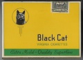 Black cat 13.jpg