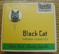 Black cat 12.jpg