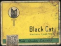 Black cat 14.jpg