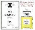 Camel Perfume 'The fragrance of a Camel'.jpg