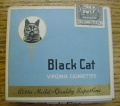 Black cat 15.jpg